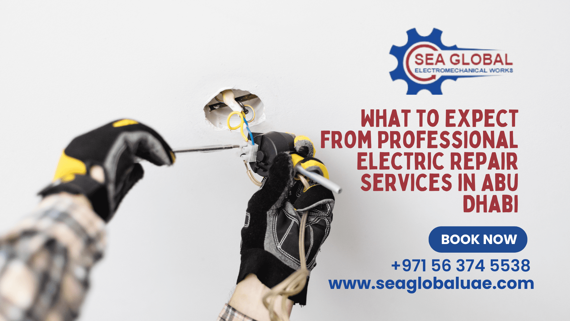 Electric Repair Services